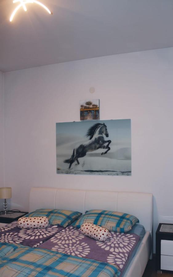 Apartments Krapec Jezdovec エクステリア 写真